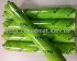 IspoFlex PU 55/4 однокомпонентный полиуретановый клей-герметик IspoFlex PU 55/4 однокомпонентный полиуретановый клей-герметик